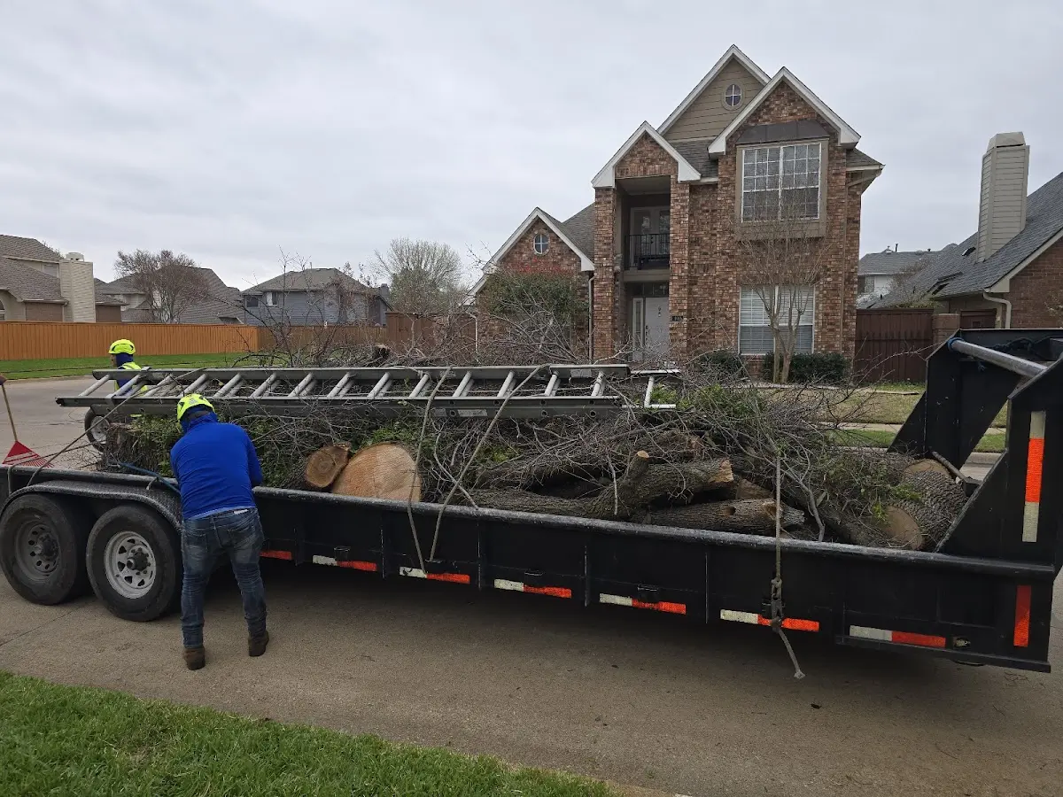 Expert Lot Clearing with proper safety equipment in Omena